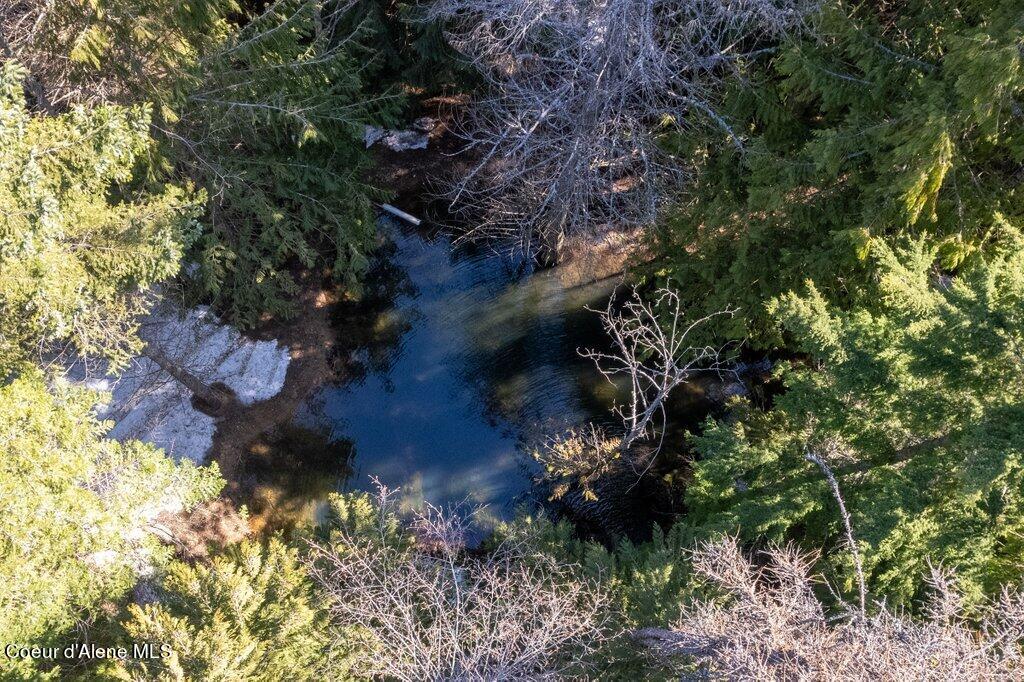 12080 E TROUT POND RD