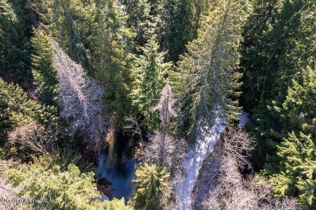 12080 E TROUT POND RD