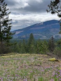 NNA NA Timbered Ridge Road