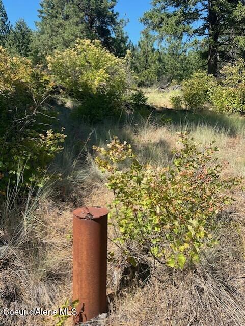 NNA NA Timbered Ridge Road