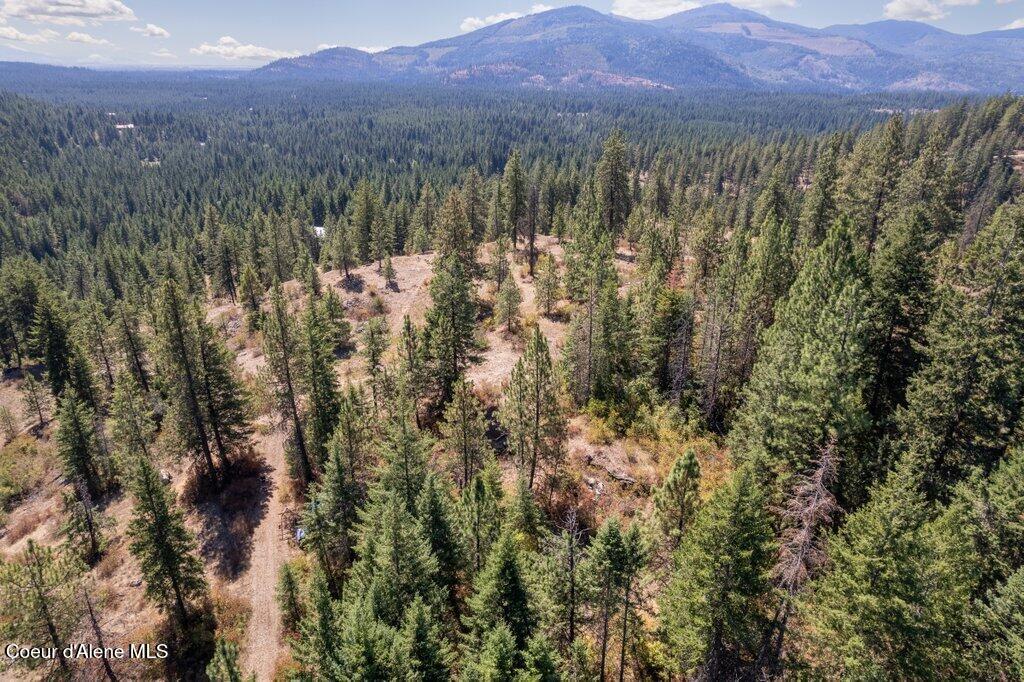 NNA NA Timbered Ridge Road