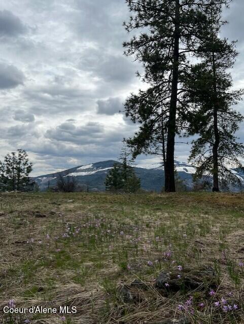 NNA NA Timbered Ridge Road