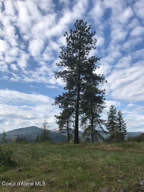 NNA NA Timbered Ridge Road