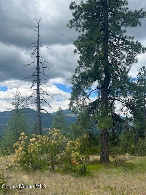 NNA NA Timbered Ridge Road