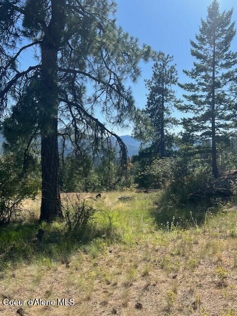 NNA NA Timbered Ridge Road