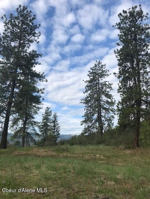 NNA NA Timbered Ridge Road