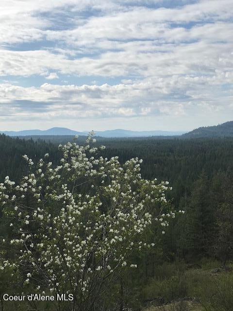 NNA NA Timbered Ridge Road