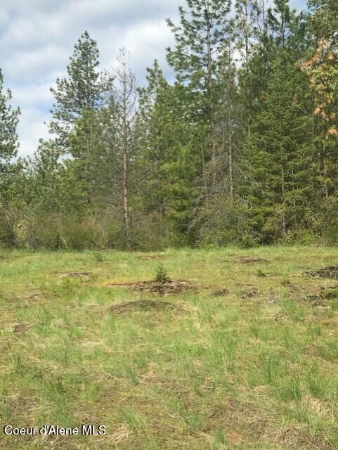 NNA NA Timbered Ridge Road