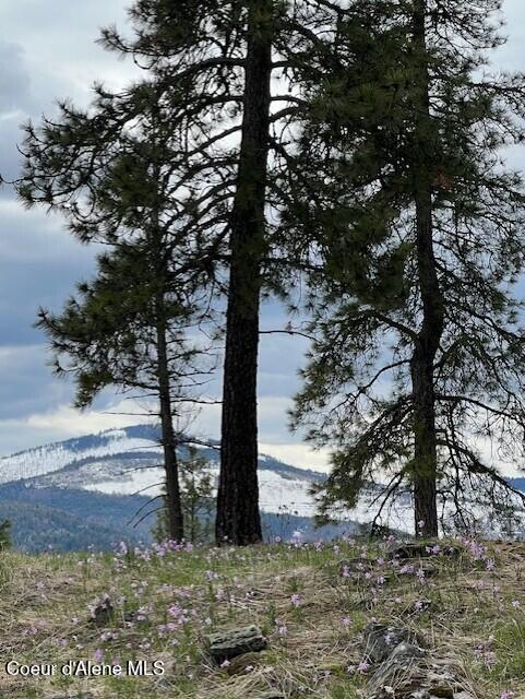 NNA NA Timbered Ridge Road