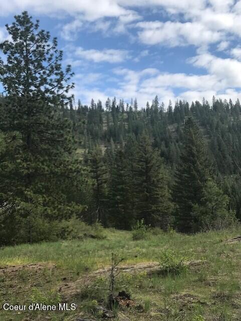 NNA NA Timbered Ridge Road