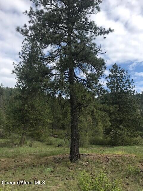 NNA NA Timbered Ridge Road