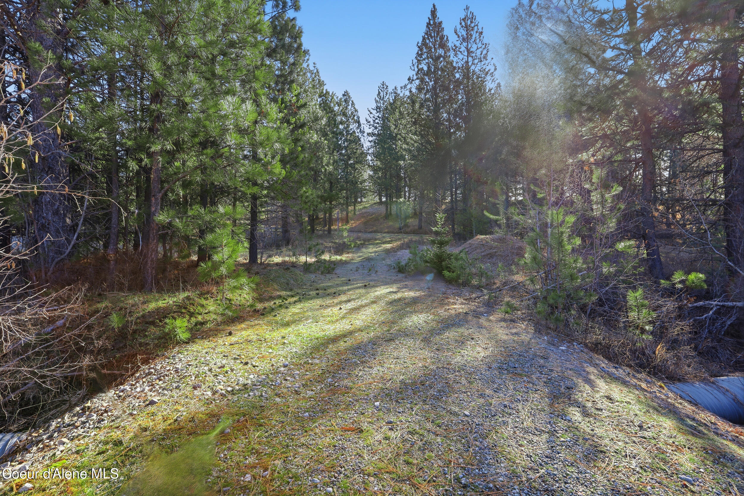 NNA NNA, Coeur d'Alene