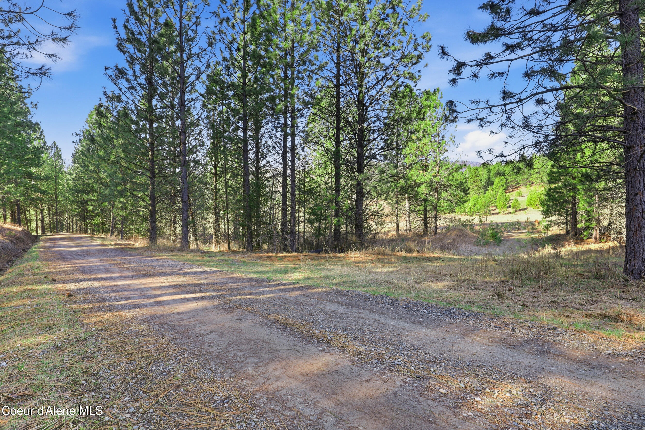 NNA NNA, Coeur d'Alene