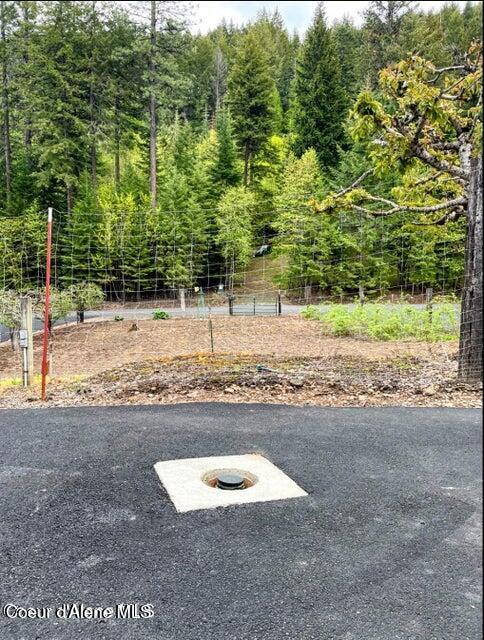 29623 S High Side DR