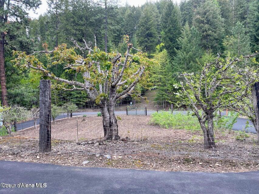 29623 S High Side DR