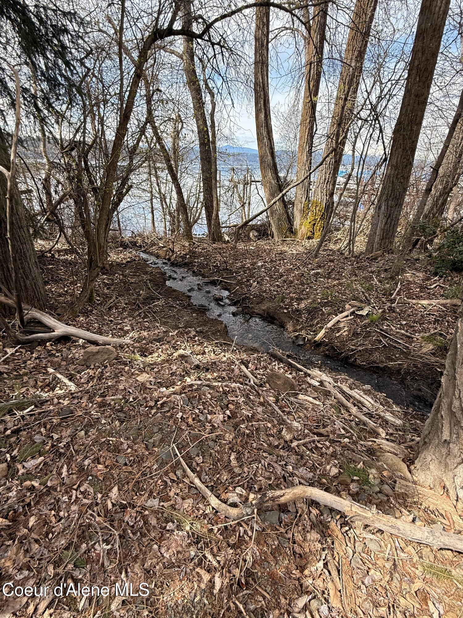 3897 S Boothe Park RD, Coeur d'Alene