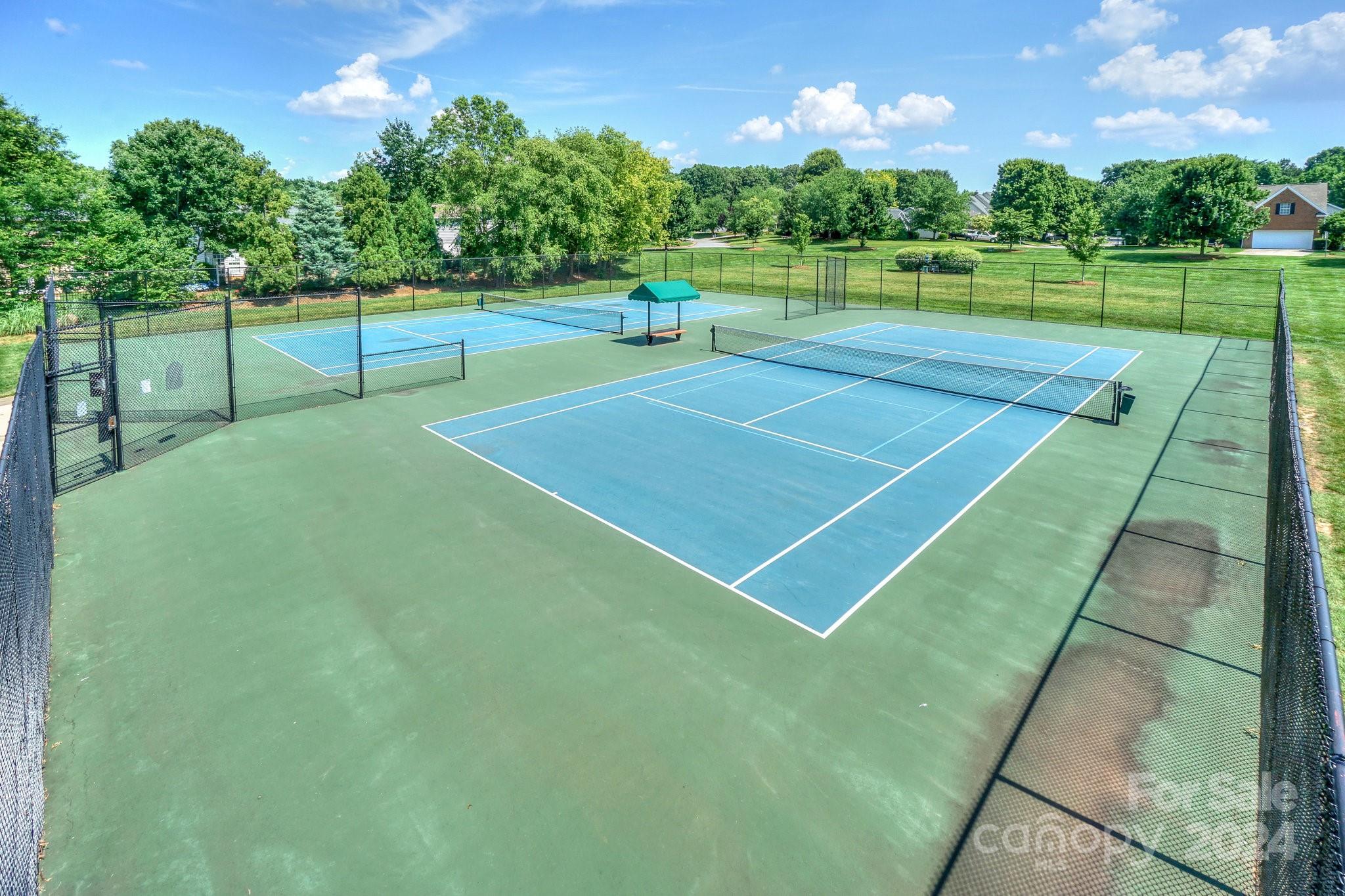 18837 Vineyard Point Lane