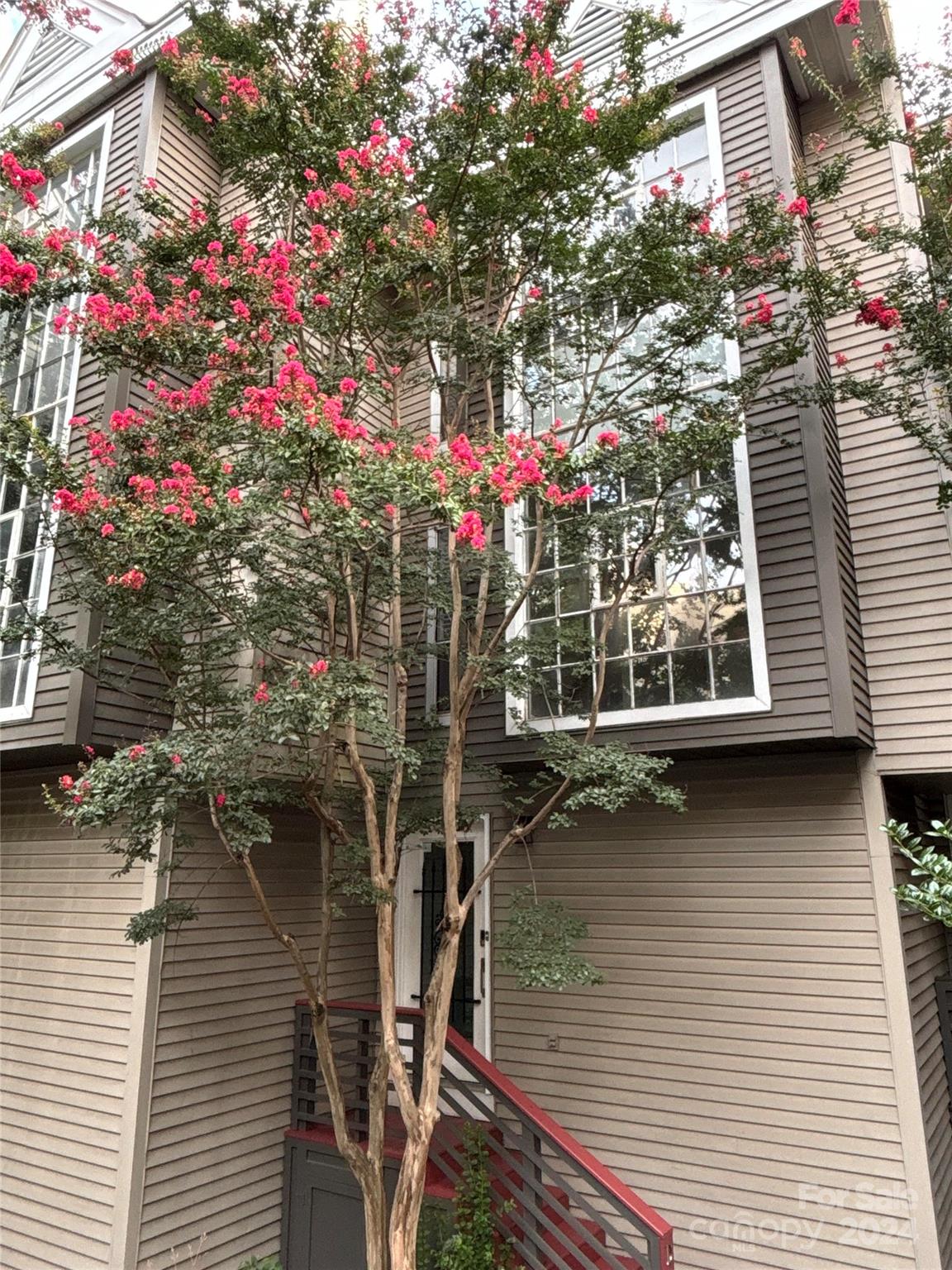 415 W 7th Street Unit: D