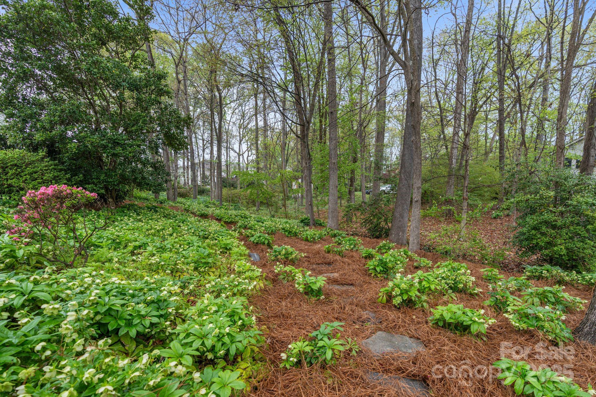 5125 Winding Brook Road