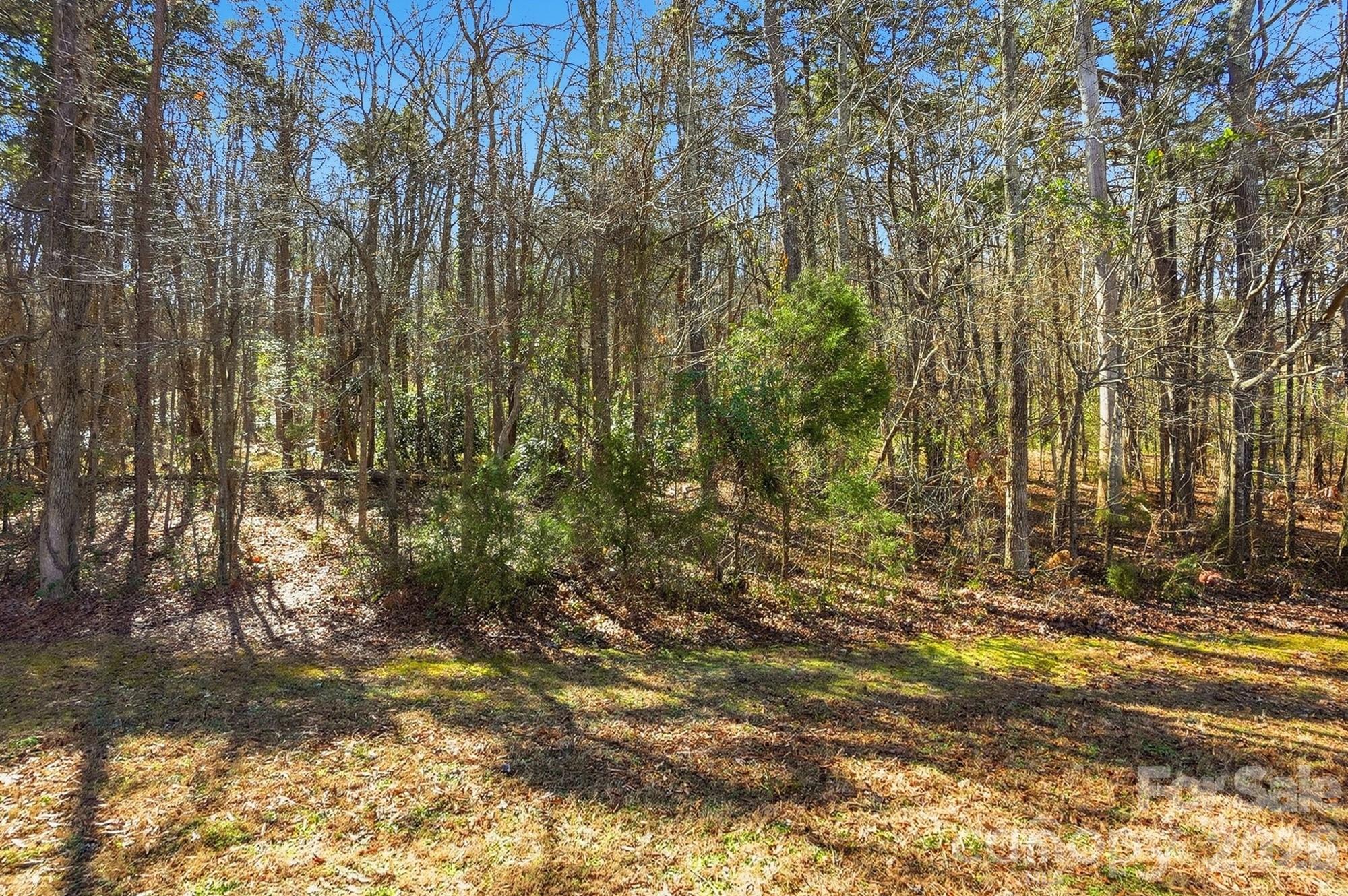 11901 Kimberfield Road