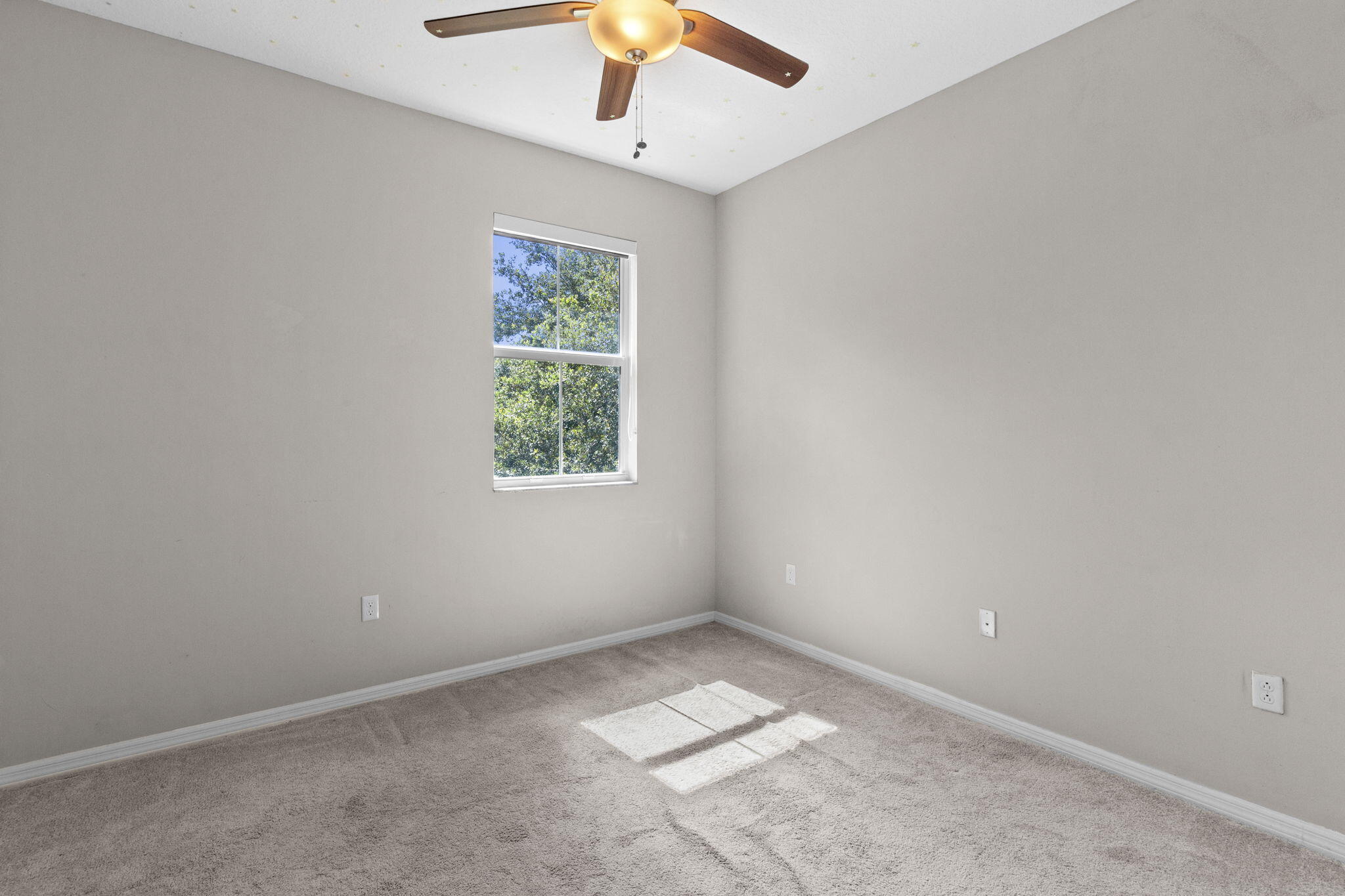 5319 Falcon Trail