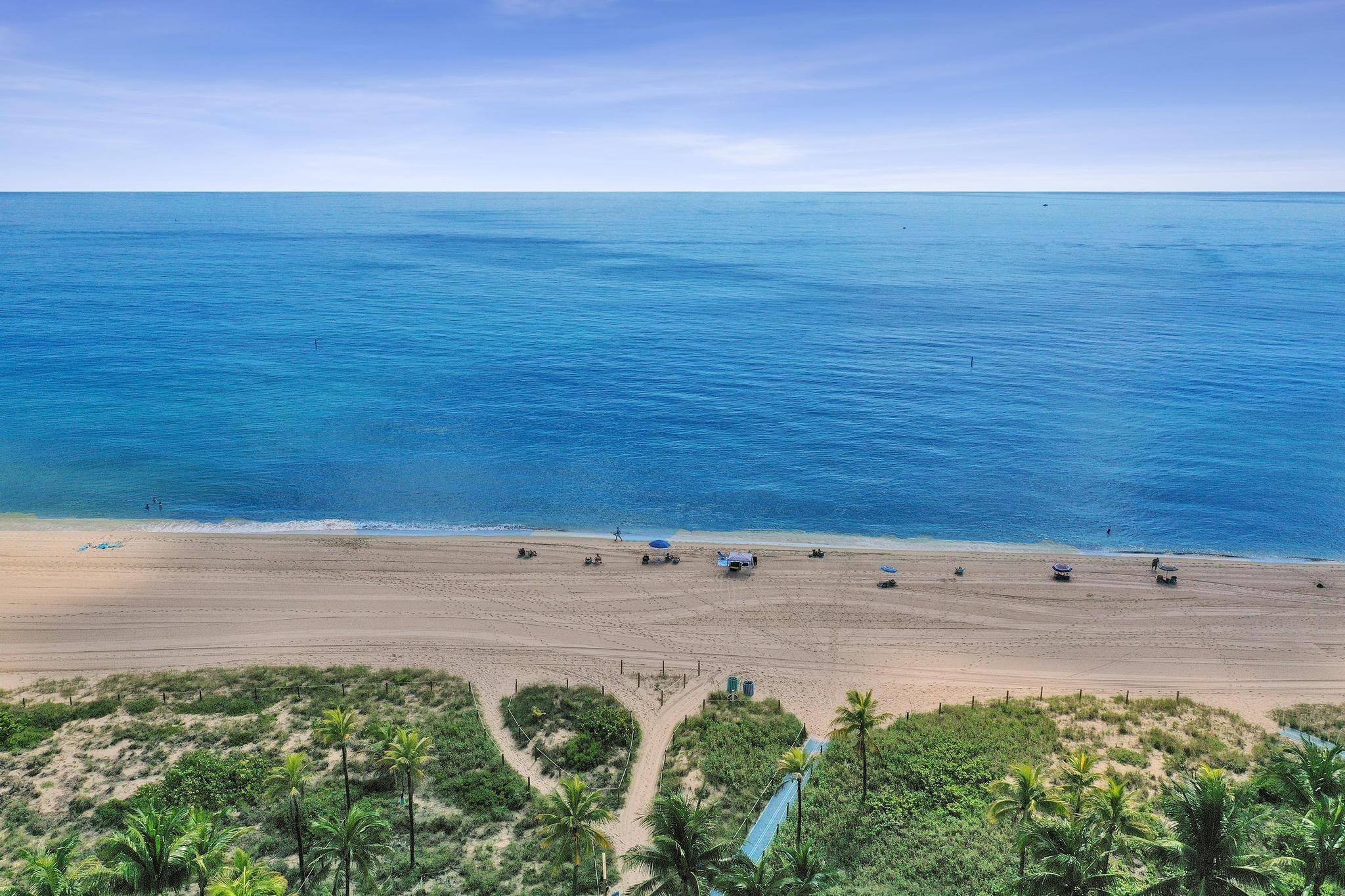 4445 El Mar Dr 2314