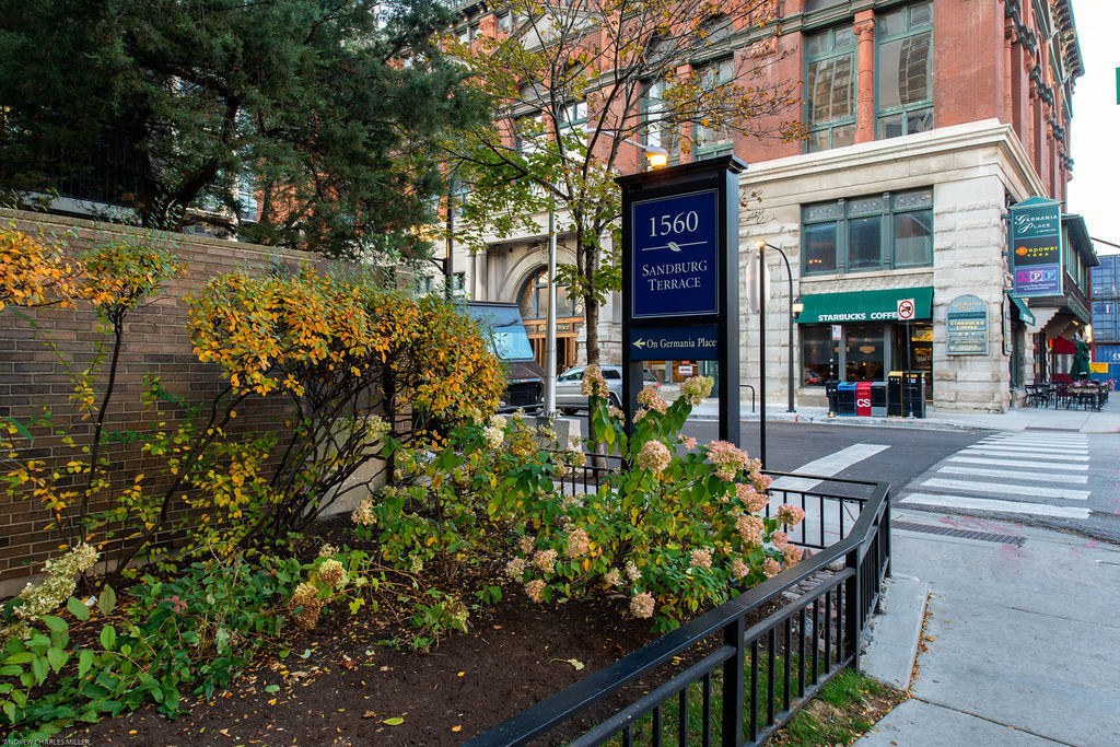 1560 N Sandburg Terrace Unit: 3202