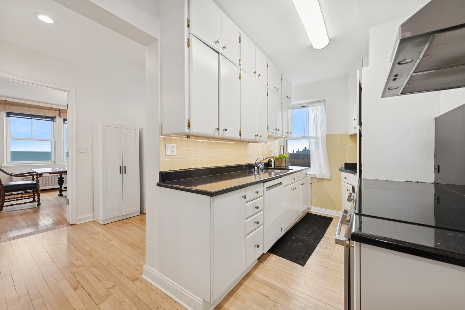 5555 N SHERIDAN Road Unit: 1102