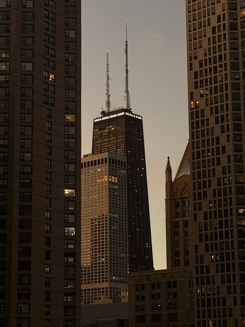 530 N Lake Shore Drive Unit: 1602