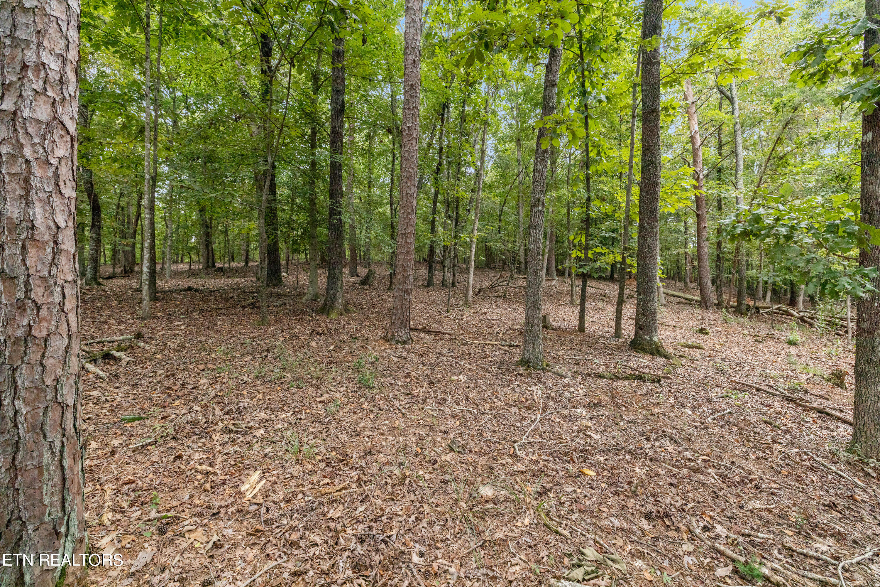 106 W Osprey Cove Court