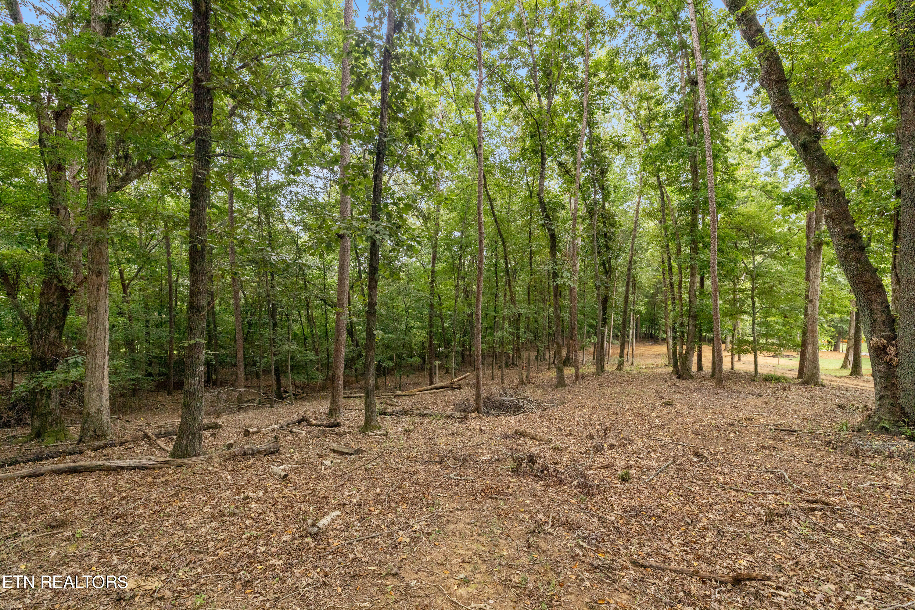 106 W Osprey Cove Court