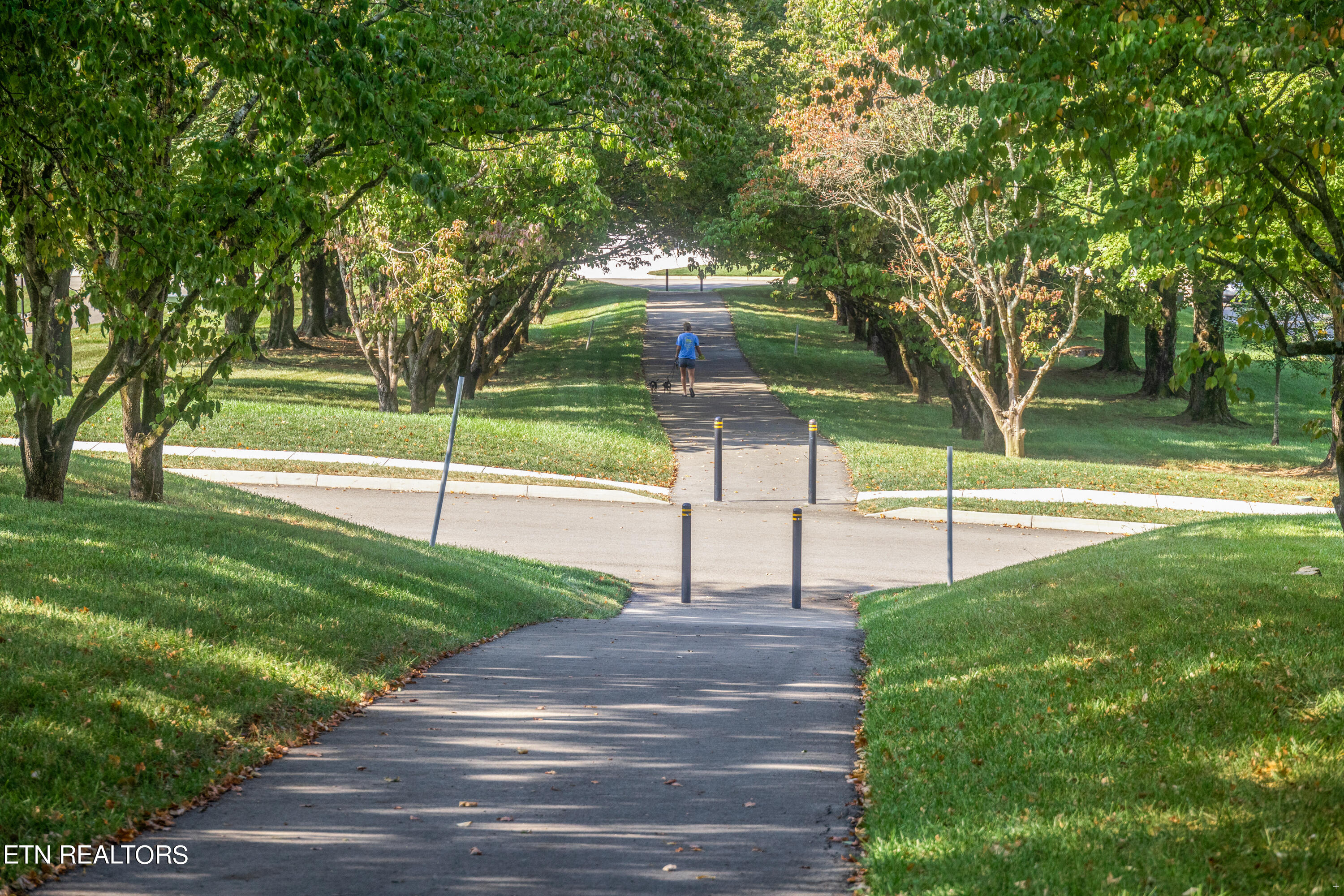 12017 Boyd Chase Blvd