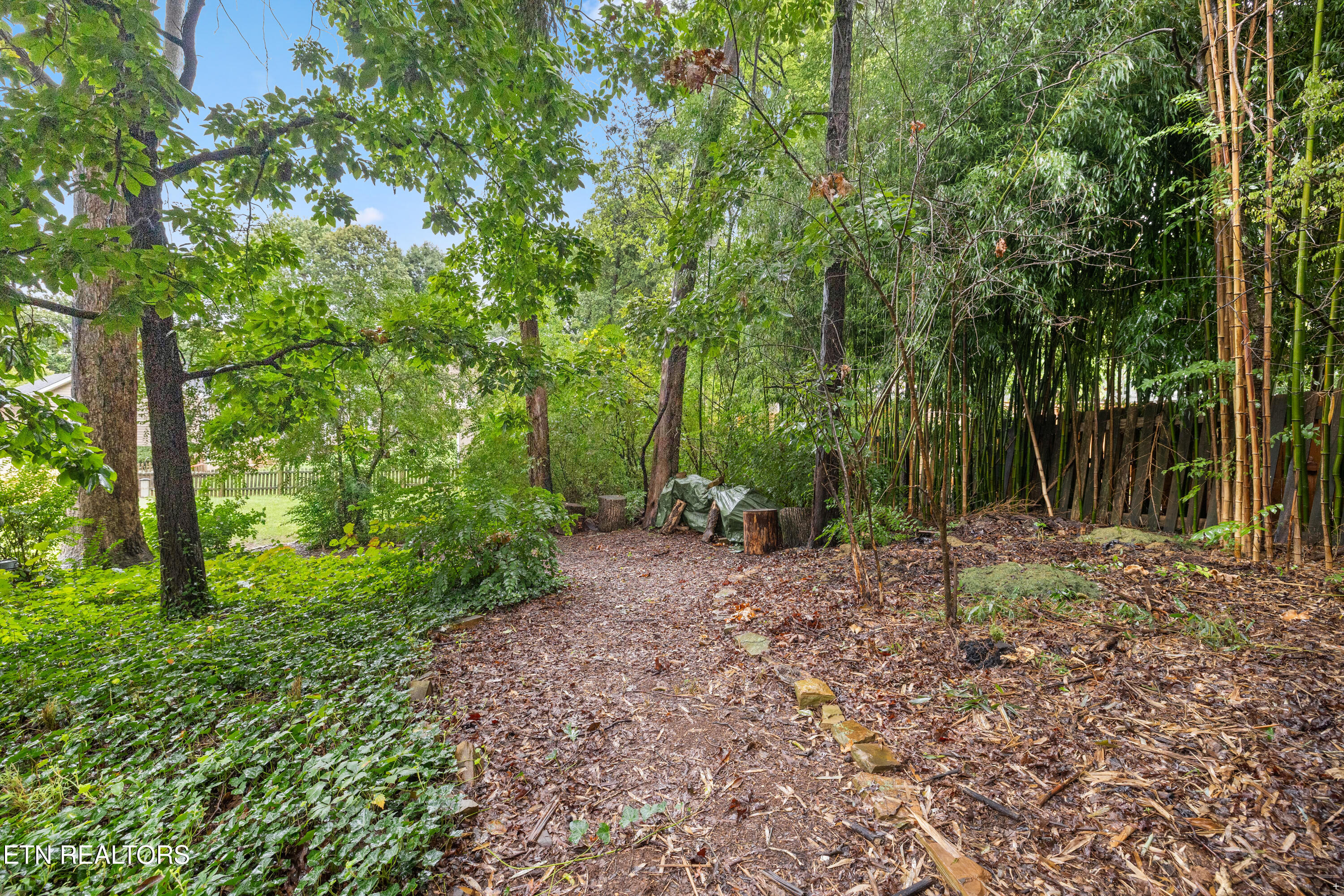 1724 Dawn Redwood Trail Tr