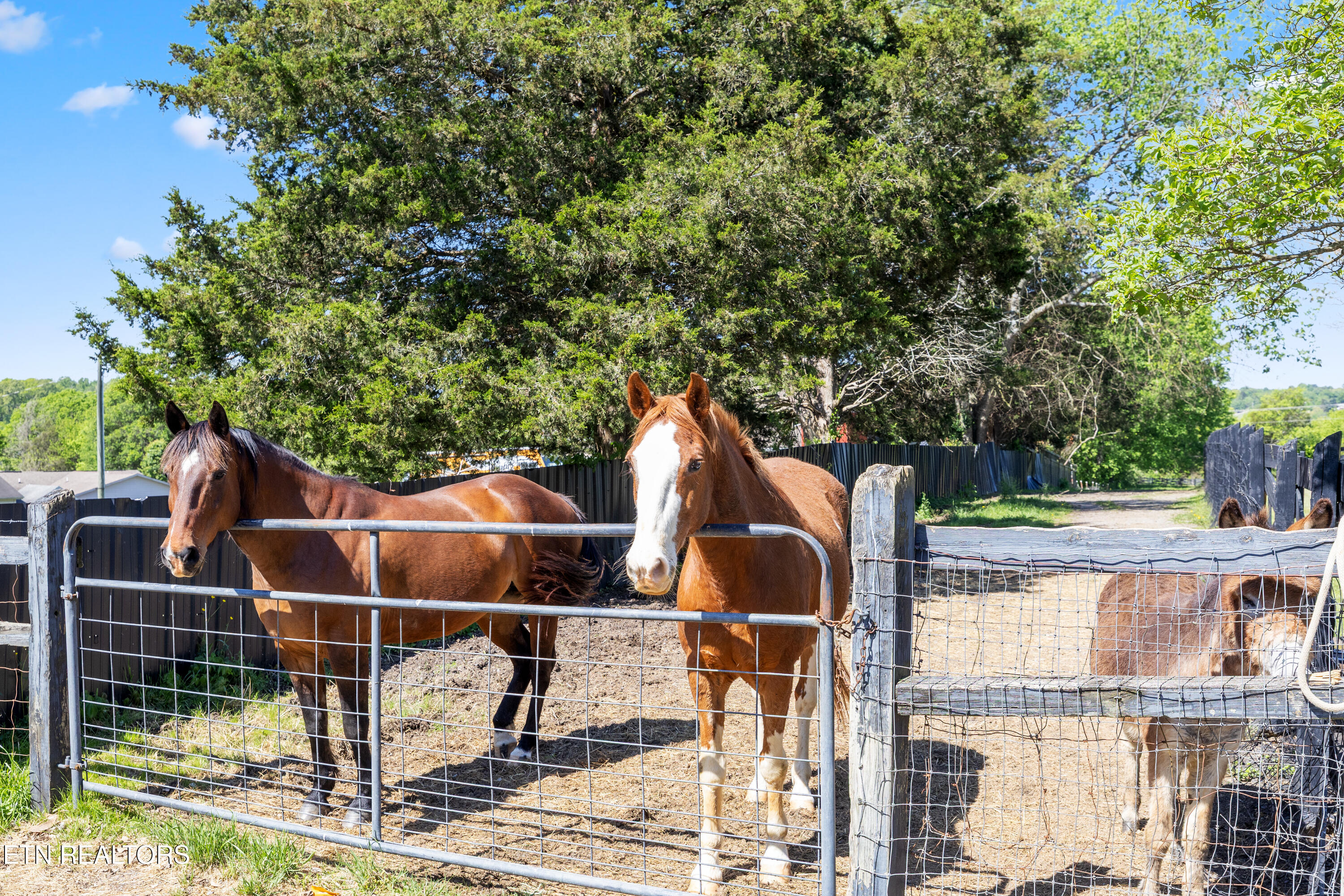 7714 Washington Pike