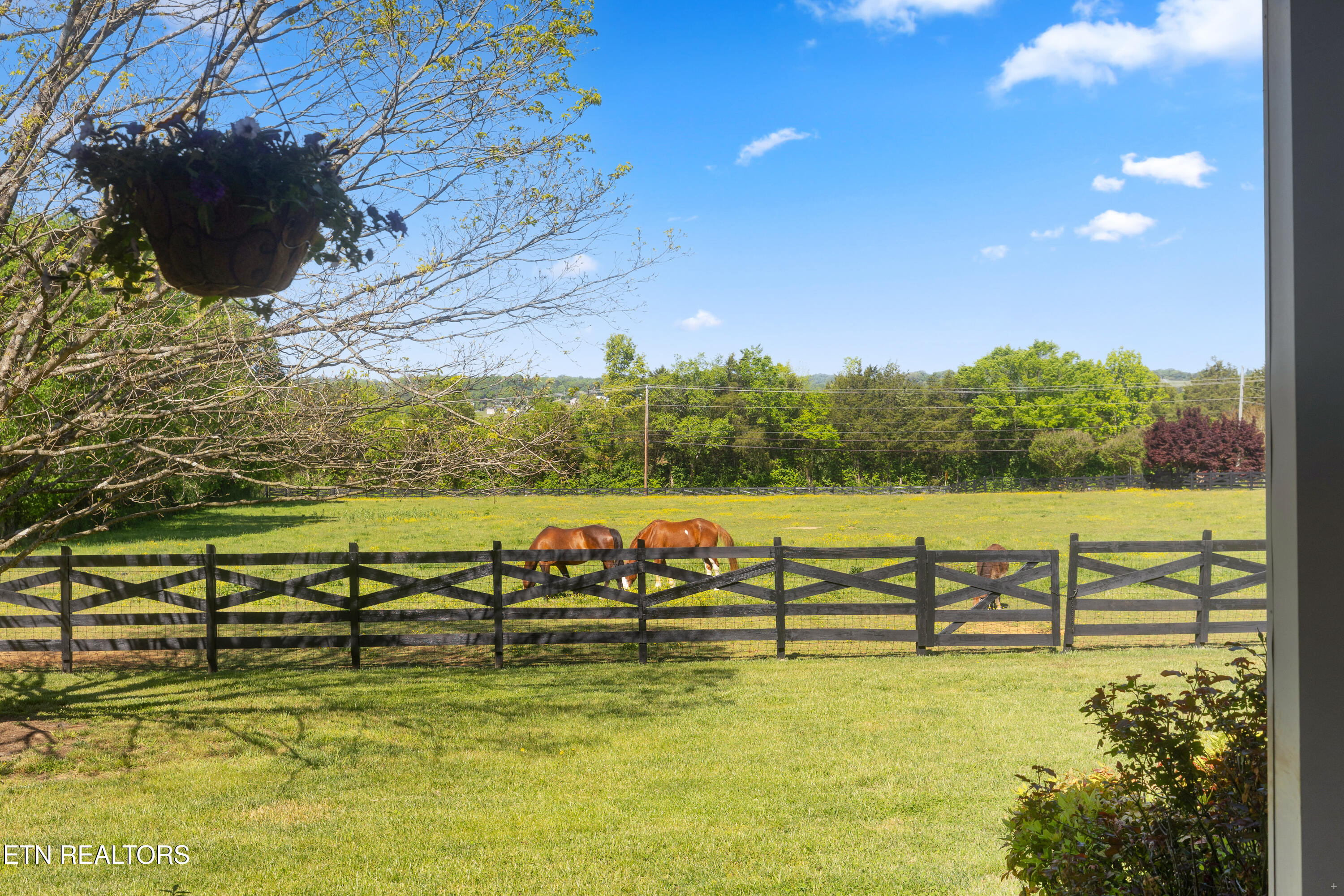 7714 Washington Pike