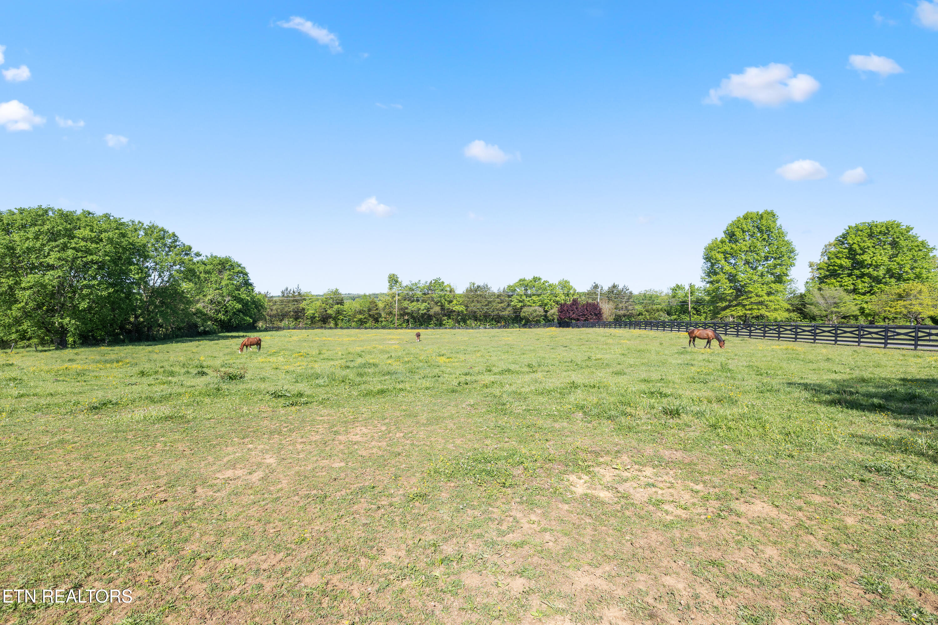 7714 Washington Pike