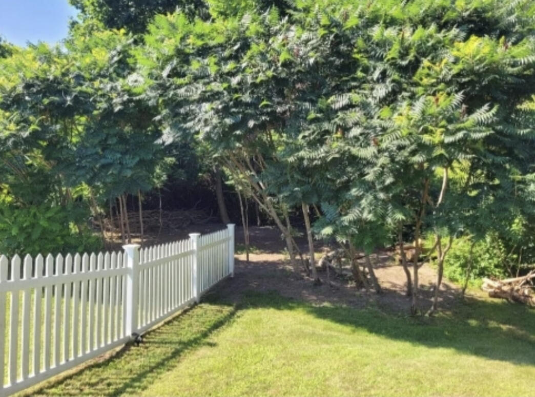 48 Henry Drive
