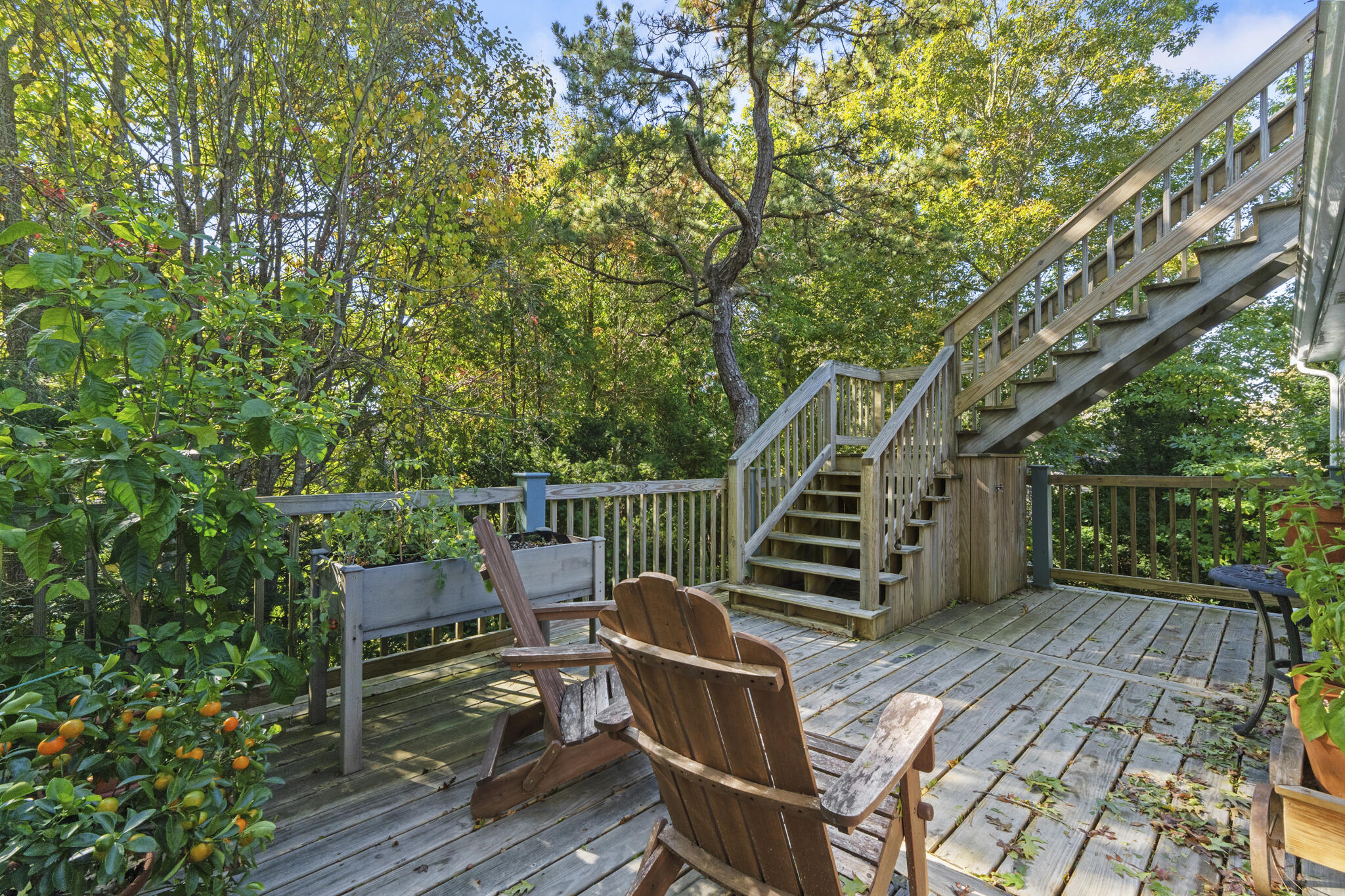 9 Strawberry Hill Road