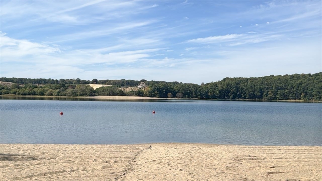 185 Cotuit Rd Unit: BE4