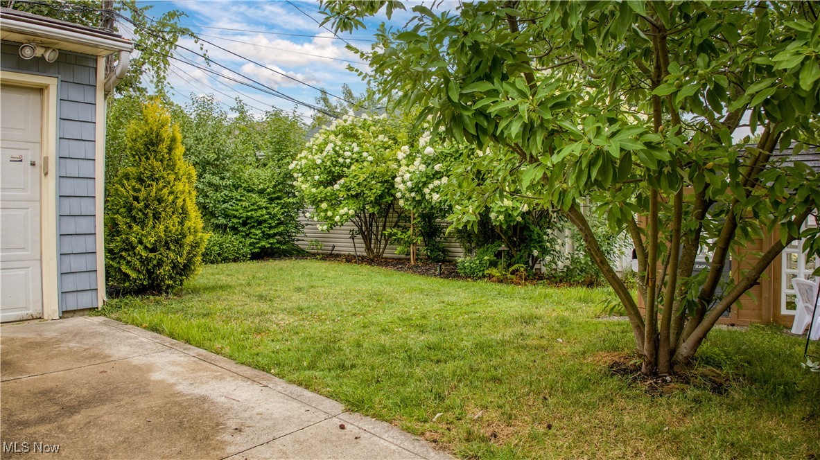 Side yard with a grassy lawn, flowering shrubs, mature trees, and a concrete driveway.