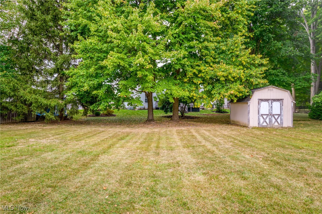 Backyard lawn with mature trees and a small storage shed.