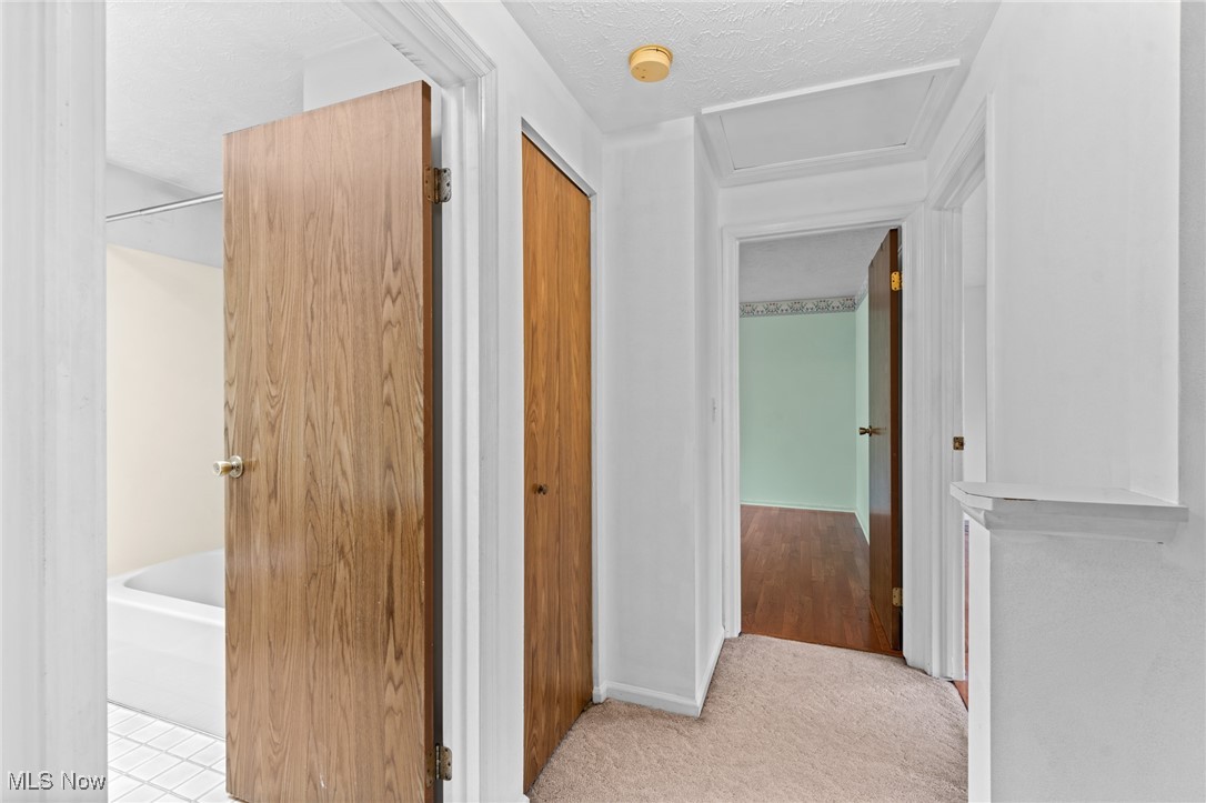 Carpeted hallway with open wood doors, a bathtub to the left, and a mint-green room beyond.