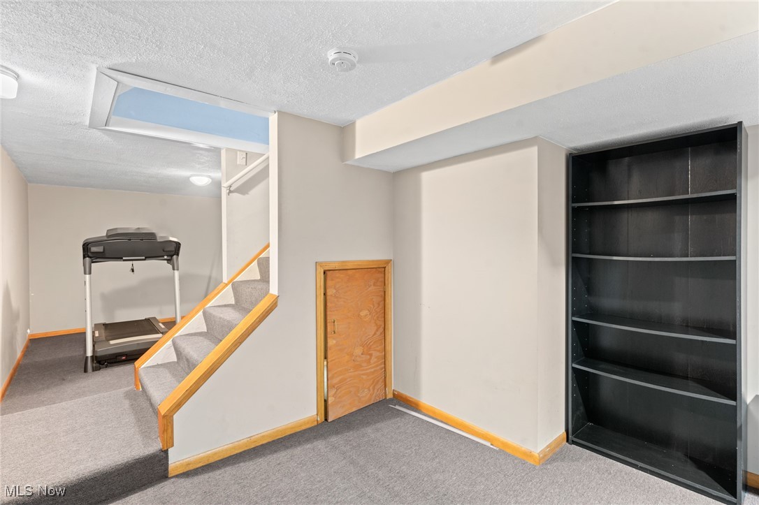 Basement with carpeted stairs, a treadmill, black built-in shelving, and a small wooden door.
