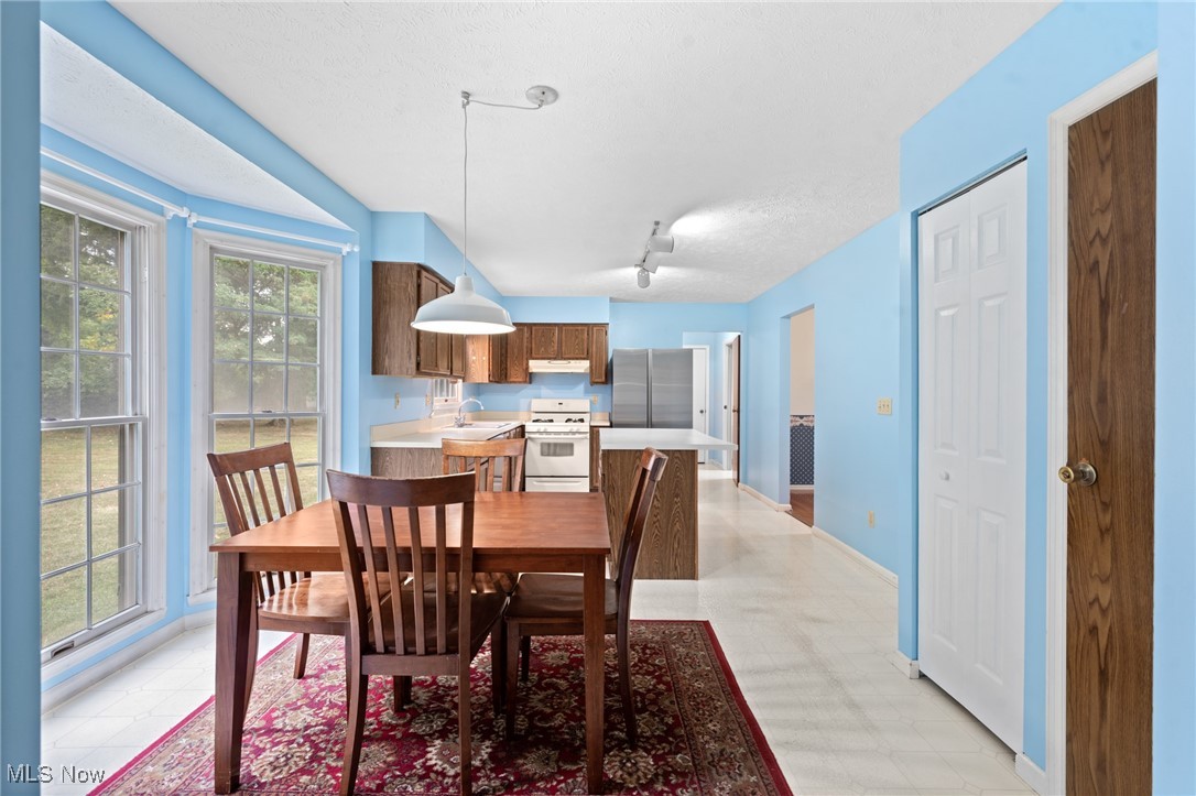 Kitchen and dining area with blue walls, a wooden dining set, large windows, and stainless steel appliances.