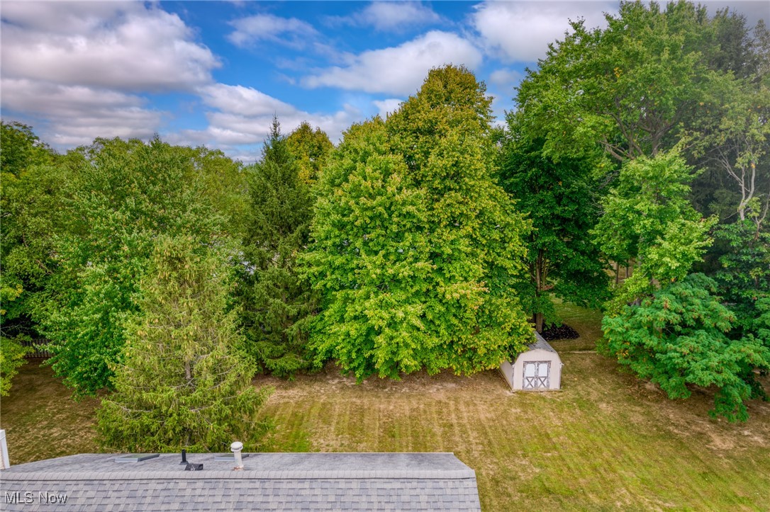 Aerial view of a tree-lined backyard with a small white shed and lawn.
