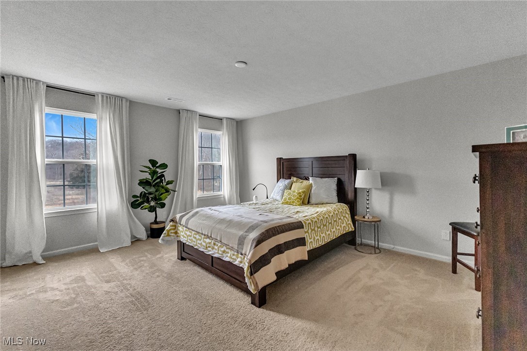 Staged bedroom with a dark wood bed, yellow patterned bedding, two curtained windows, and beige carpet.