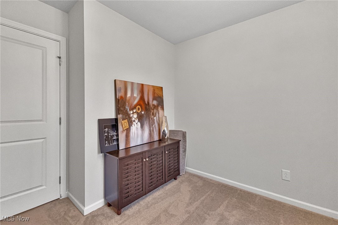 Carpeted room with a dark wood cabinet, artwork, and a white paneled door.