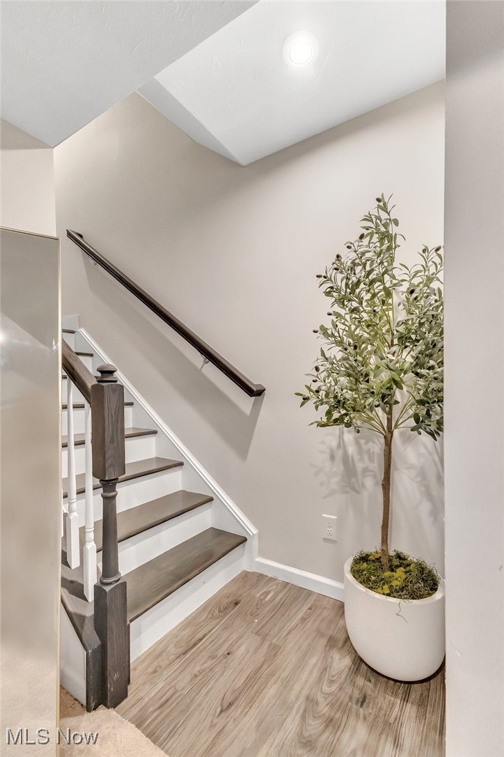 Interior staircase with dark wood treads, white railing, and a potted tree.