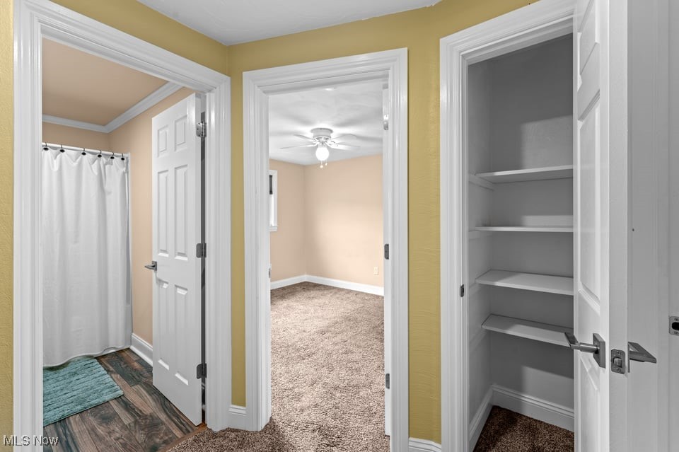 Hallway with open doors to a bathroom, carpeted room, and closet with built-in shelves.