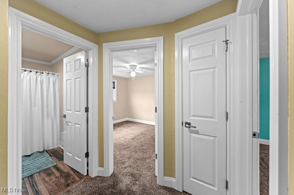 Carpeted hallway with white paneled doors opening to several rooms, including one with a shower curtain.